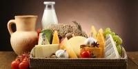 Ingredients for Cheese & Dairy Industry